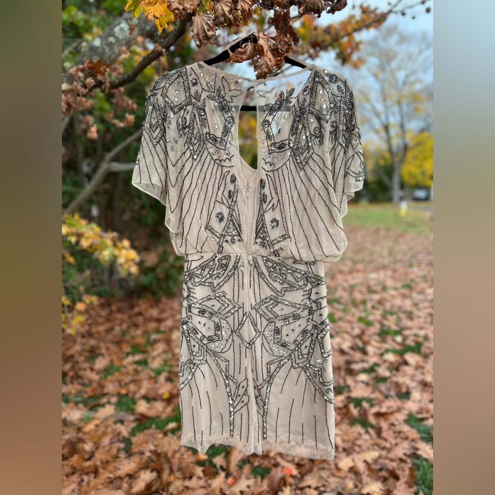 Beaded Dress - Picture 2 of 3